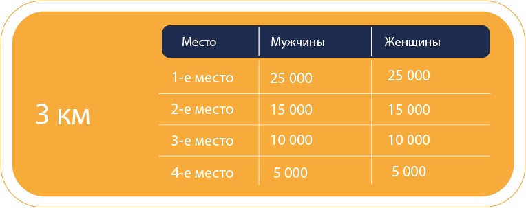 Приз 3